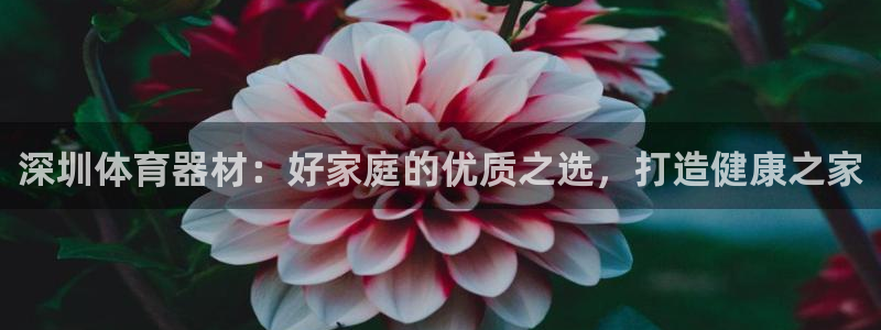 尊龙人生就是博旧