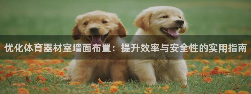 尊龙人品怎么样