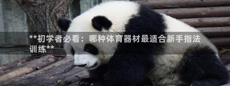 尊龙凯时人生就是搏包装优势