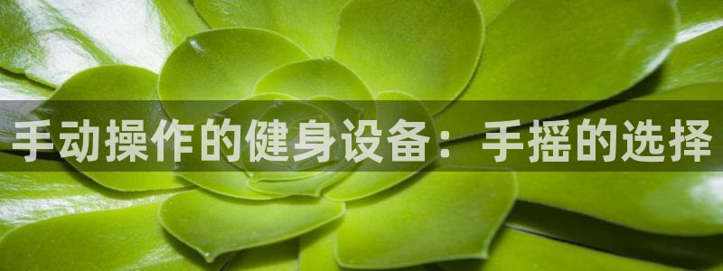 尊龙新版官网网页版