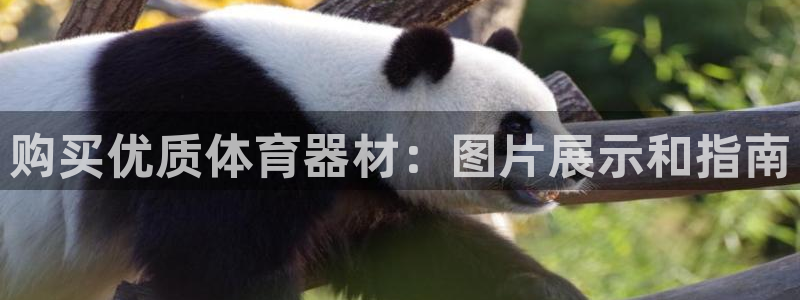 尊龙人生就是博用现金玩一下