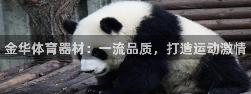 尊龙新版App下载