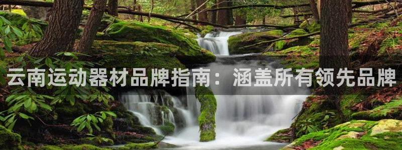 尊龙凯时美金能提取吗