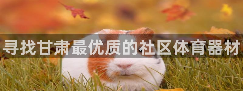 尊龙手机版下载