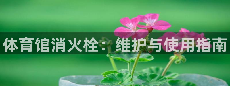 尊龙凯时导航菜单首页