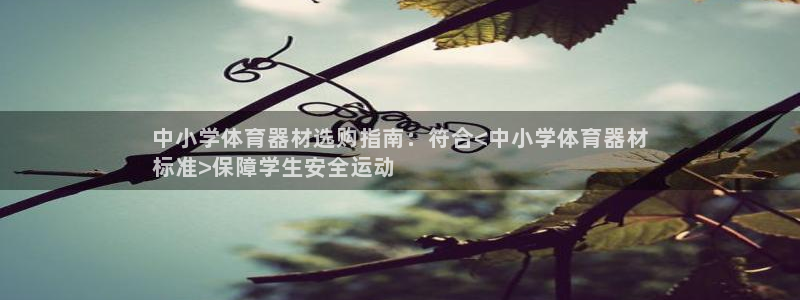 尊龙服饰品牌介绍