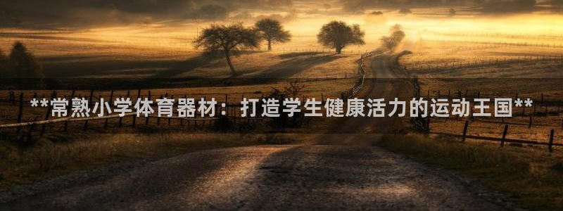 尊龙D88现金旧版：**常熟小学体育器材：打造学生健康活力的