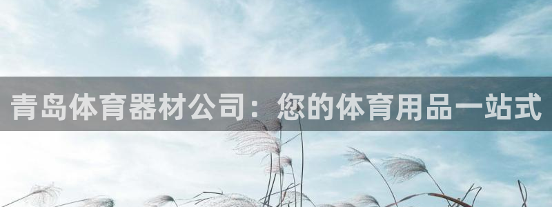 尊龙凯时公司官网