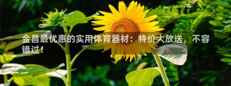 尊龙人生就是博旧版：金昌最优惠的实用体育器材：特价大放送，不