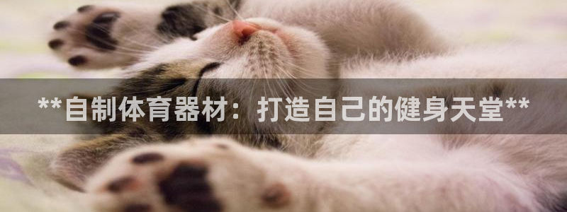 尊龙人生就是博AG旗舰厅