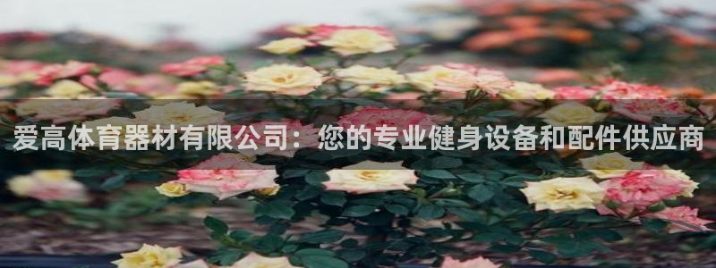 尊龙传奇英文怎么写