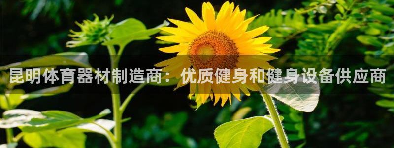 尊龙凯时开发