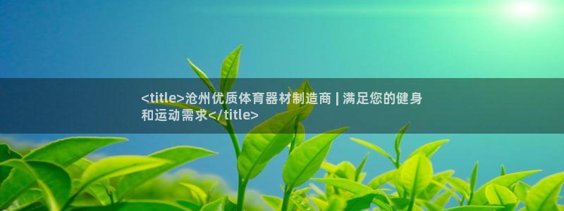 尊龙凯时网页版