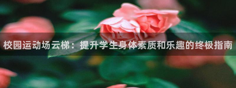 尊龙人生就是博电脑版