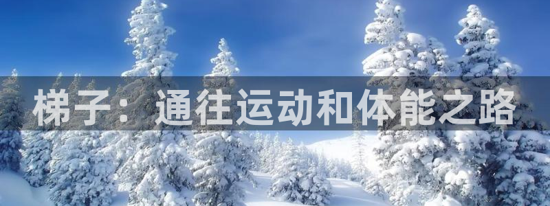 尊龙凯时导航菜单首页：梯子：通往运动和体能之路