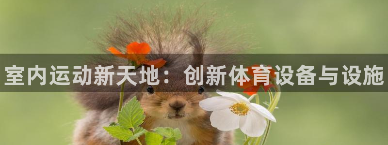 ag旗舰平台尊龙代言