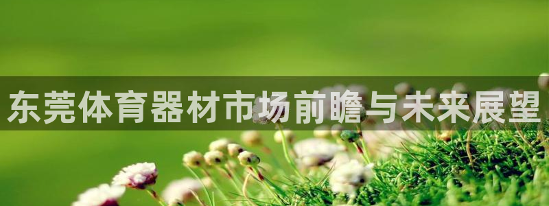 尊龙科技：东莞体育器材市场前瞻与未来展望