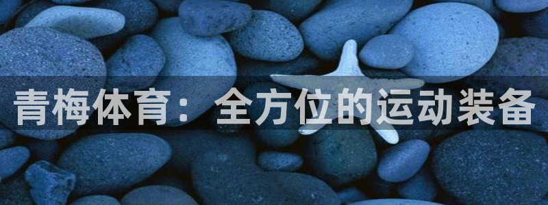 尊龙凯时官方网站：青梅体育：全方位的运动装备