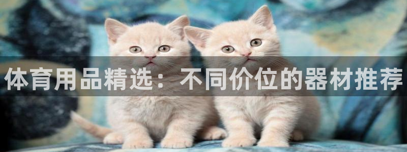 尊龙人生就是博登录网址下载