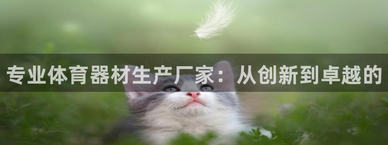 尊龙传奇英文怎么写