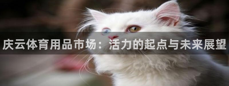 凯时尊龙平台登录