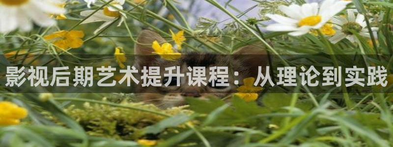 悠久影院免费热播电视剧：影视后期艺术提升课程：从理论到实践