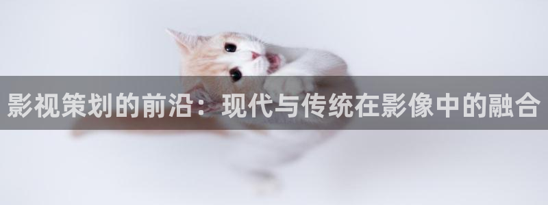 悠久影院免费完整版：影视策划的前沿：现代与传统在影像中的融合
