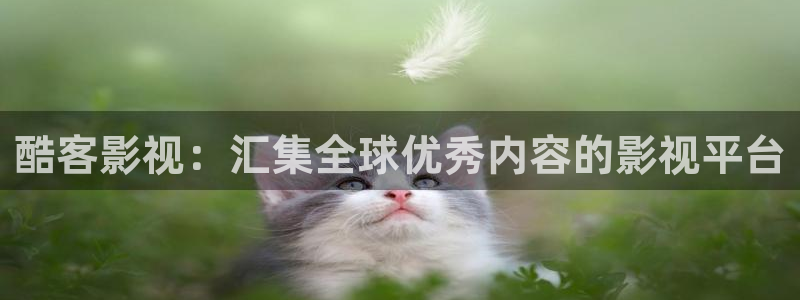 女心理师电视剧免费观看悠久影院：酷客影视：汇集全球优秀内容的影视平台