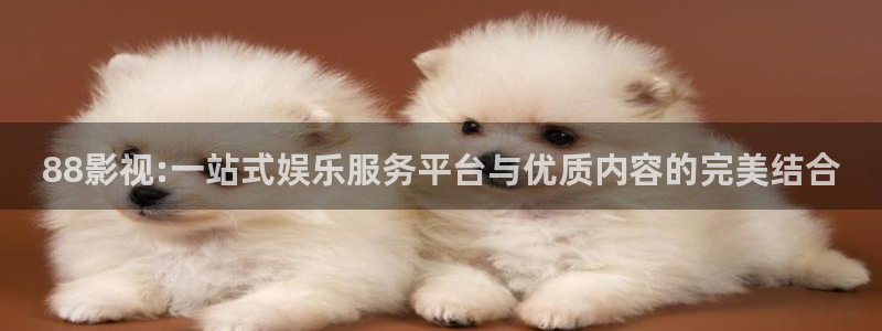 伊人悠久影院：88影视:一站式娱乐服务平台与优质内容的完美结合