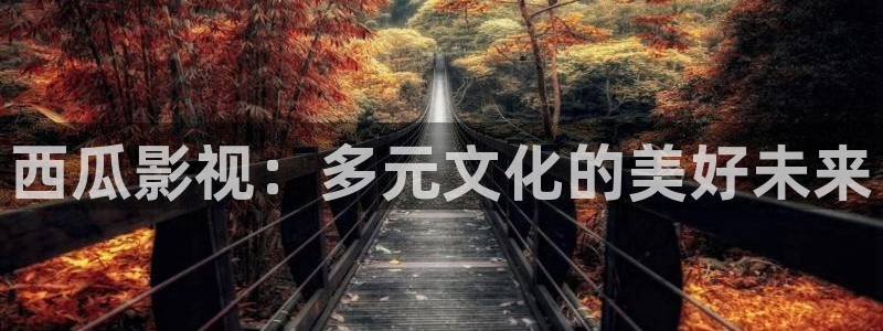 悠久影院电影：西瓜影视：多元文化的美好未来