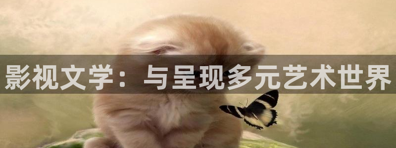6042悠久影院：影视文学：与呈现多元艺术世界